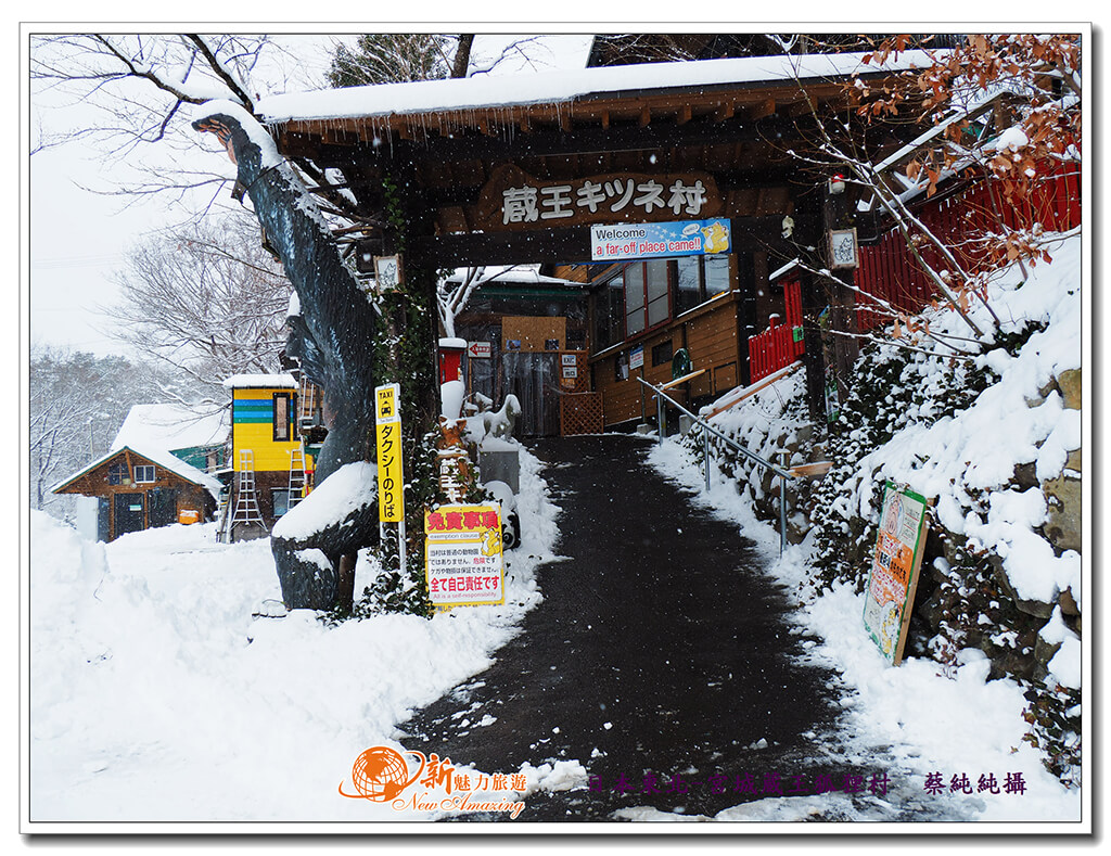 日本旅遊的遊客，不可錯過的日本東北景點