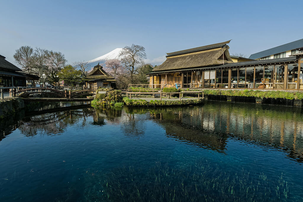 冬天到忍野八海旅行