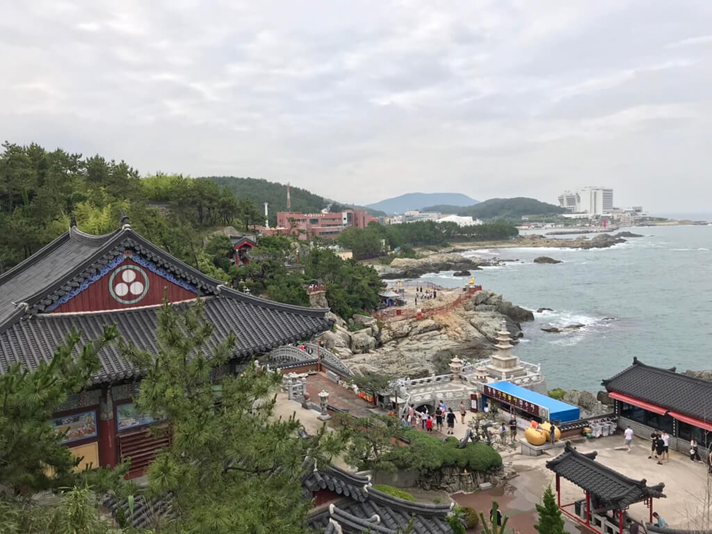 海東龍宮寺櫻花