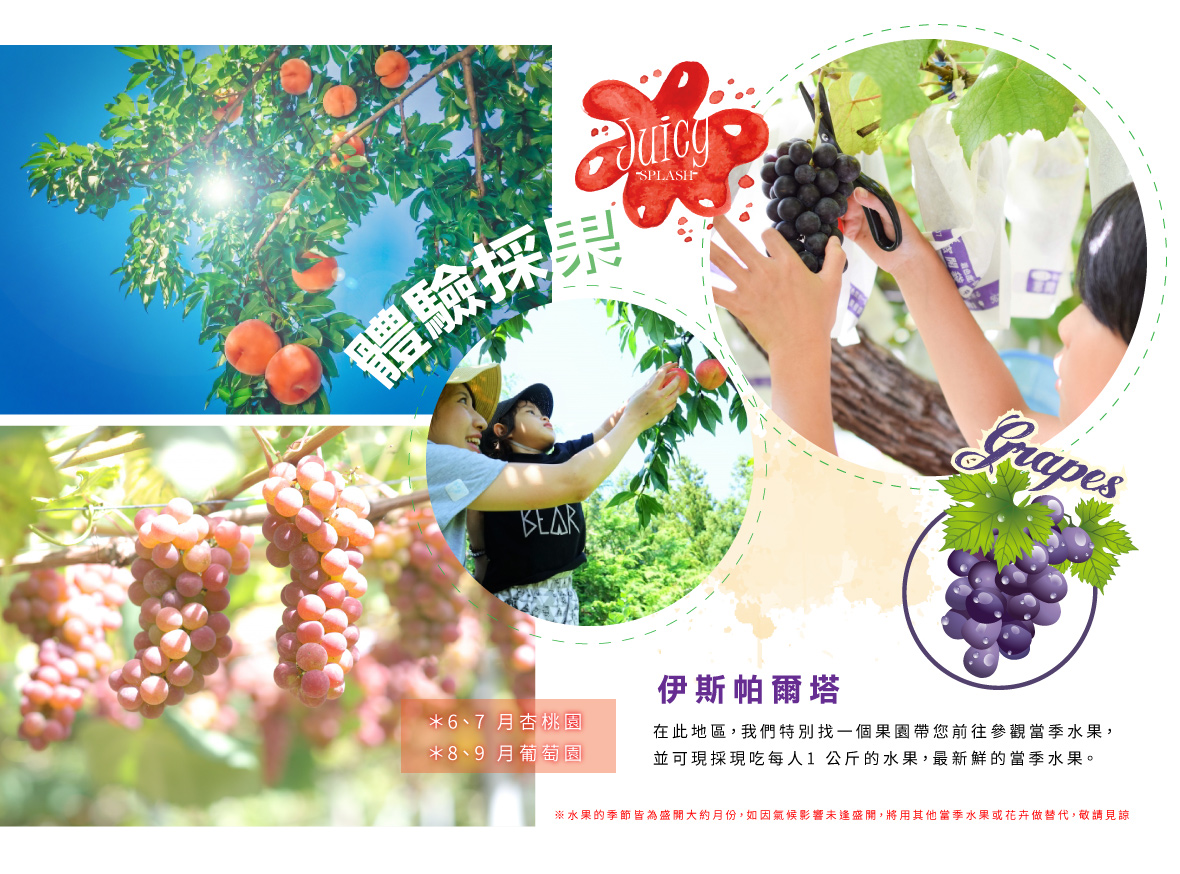 土耳其體驗採果