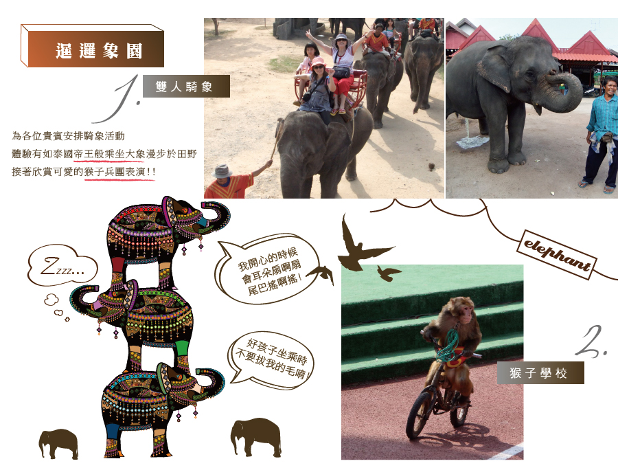 暹邏象園 雙人騎象+猴子學校