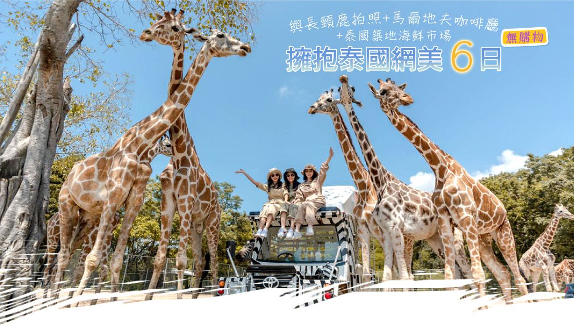擁抱泰國網美-與長頸鹿拍照+馬爾地夫咖啡廳六日遊(無購物)