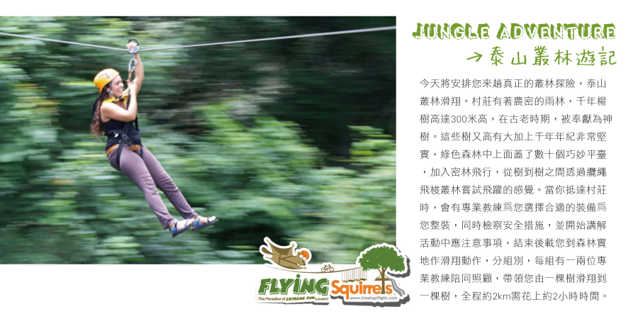 泰山叢林滑翔JUNGLE ADVENTURE（FLIGHT OF GIBBON或FLYING SQUIRRELS）    含簡餐