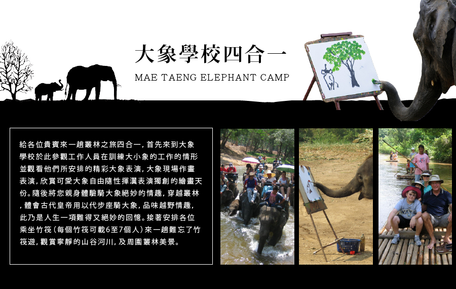 MAE TAENG ELEPHANT CAMP大象學校四合一