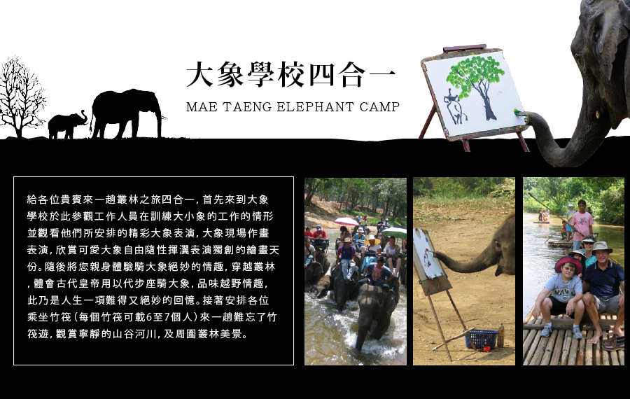 湄登大象學校綠野仙蹤 SAFARI 四部曲