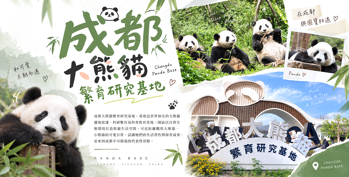 成都大熊貓繁育研究基地