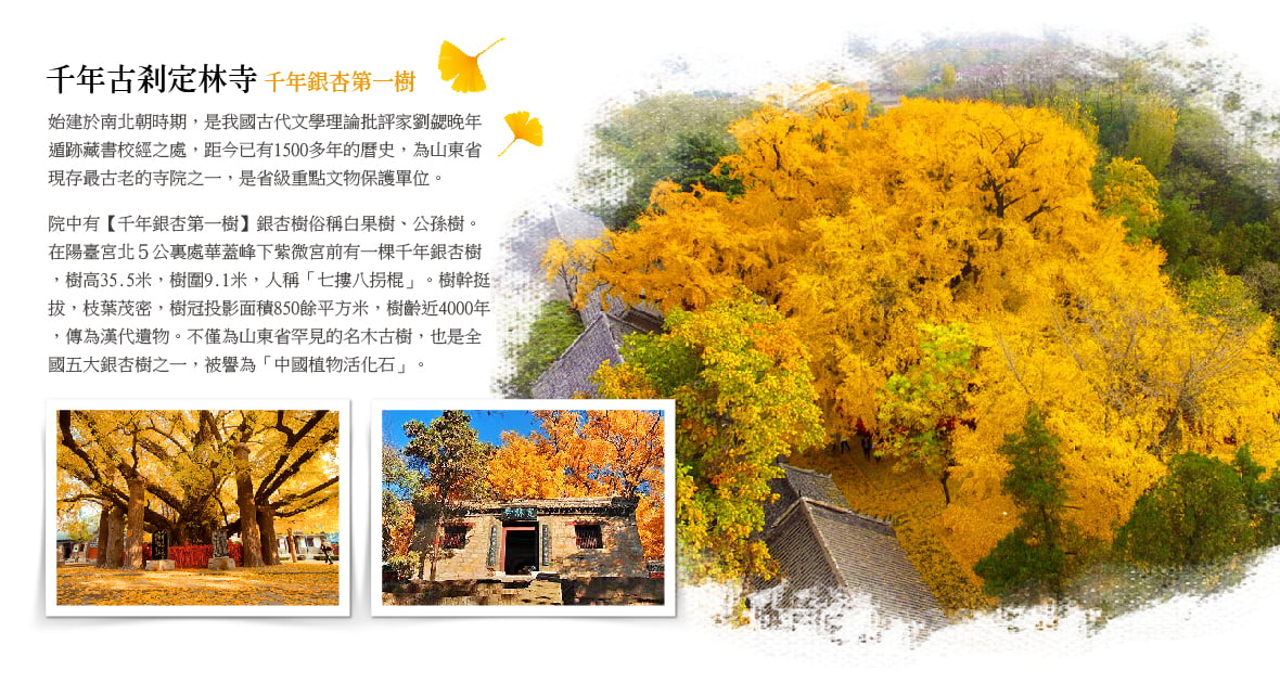 千年古刹定林寺