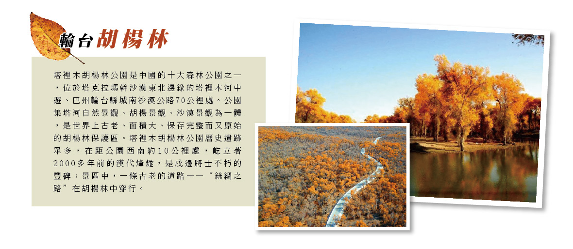 輪台胡楊林含區間車