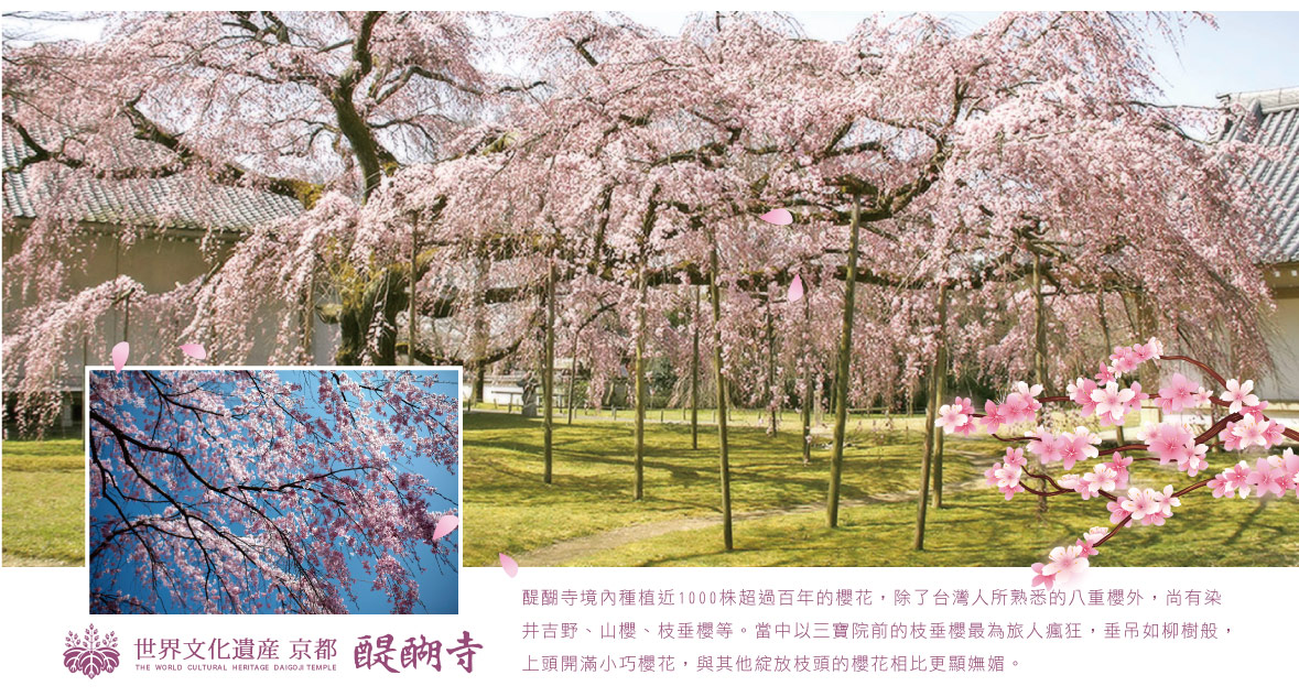 行程特色圖片