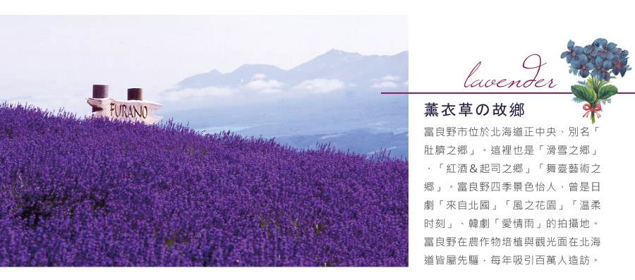 薰衣草故鄉