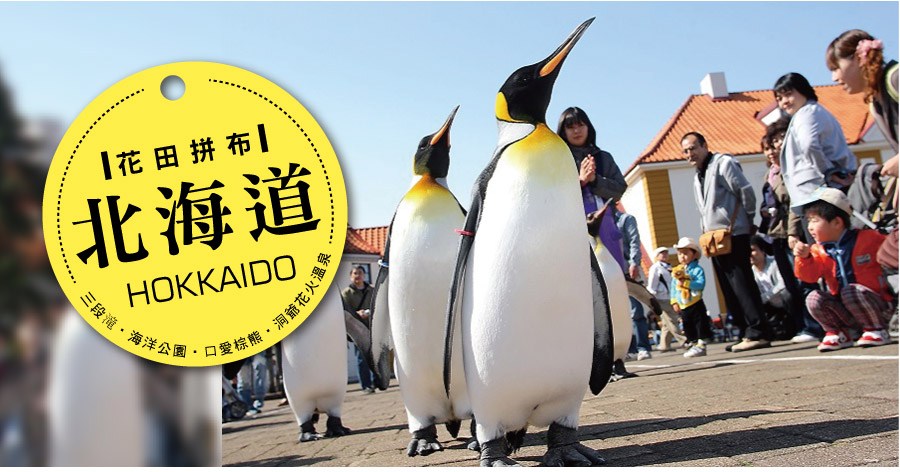 H 北海道樂翻暑假三段滝 海洋公園 口愛棕熊 洞爺花火溫泉六日 虎航 函旭包機 每週四出發 世興旅行社