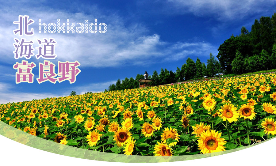 åæµ·éå¯è¯é+åå­£å½©éåè³è±å·´å£«+æ´çºæ¹è±ç«ç¯ç¹æ äºæ¥(åå)-é·æ¦®