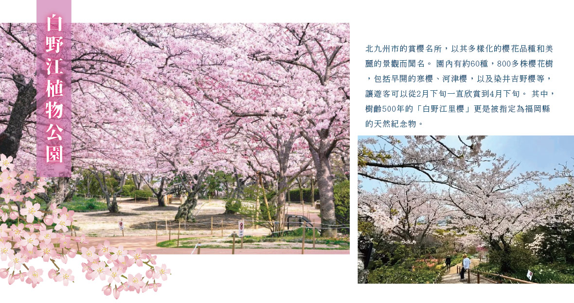行程特色圖片
