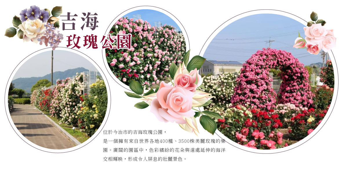 吉海玫瑰公園