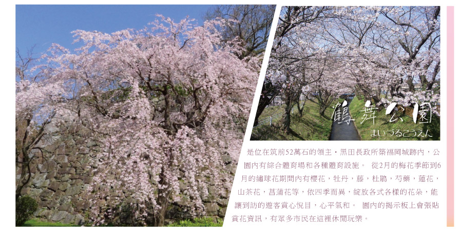 團體旅遊 團型明細頁 團體旅遊 團型明細頁