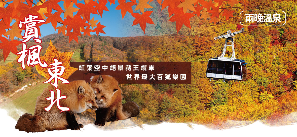 賞楓東北五日~紅葉空中絕景藏王纜車+世界最大百狐樂園兩晚溫泉美食五日