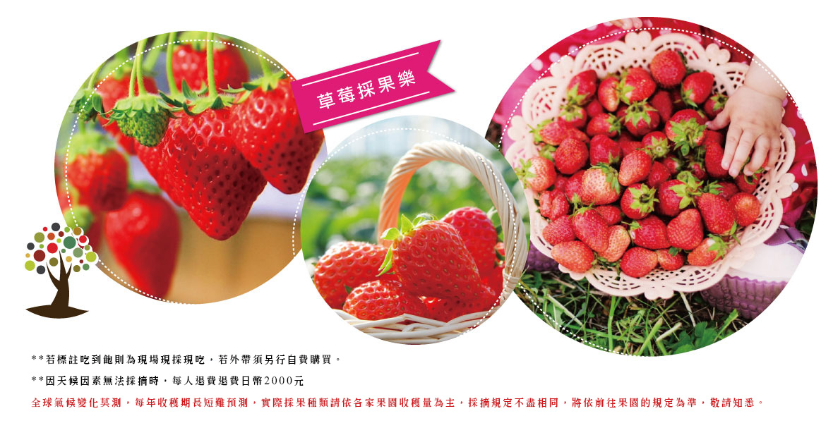 行程特色圖片