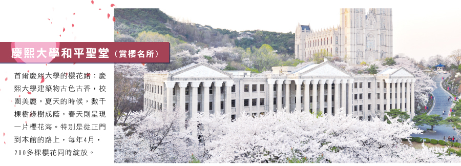 慶熙大學和平聖堂