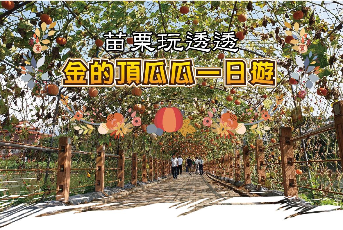 金的頂瓜瓜一日遊