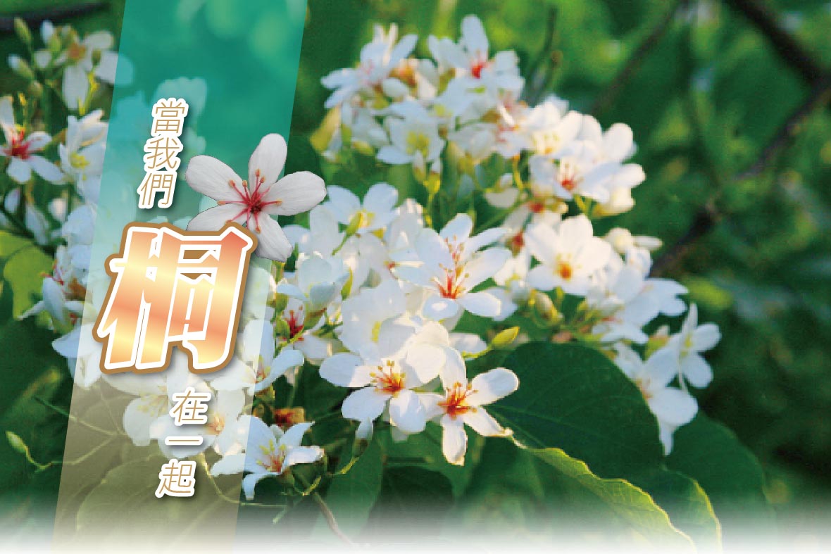 當我們桐再一起
