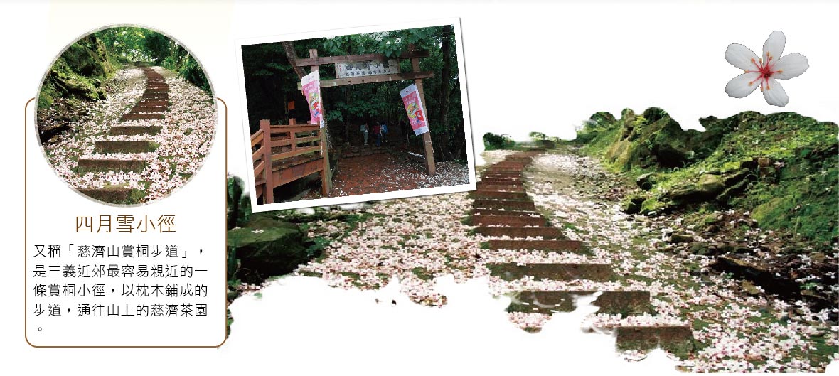 四月雪小徑