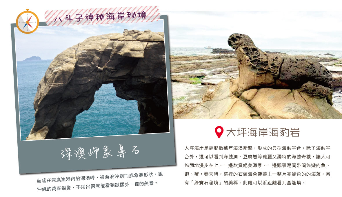 大坪海岸海豹岩 深澳岬象鼻石
