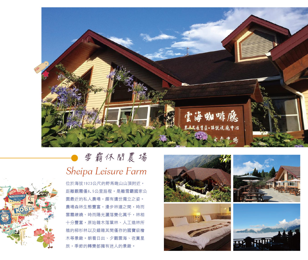 My Image 5
