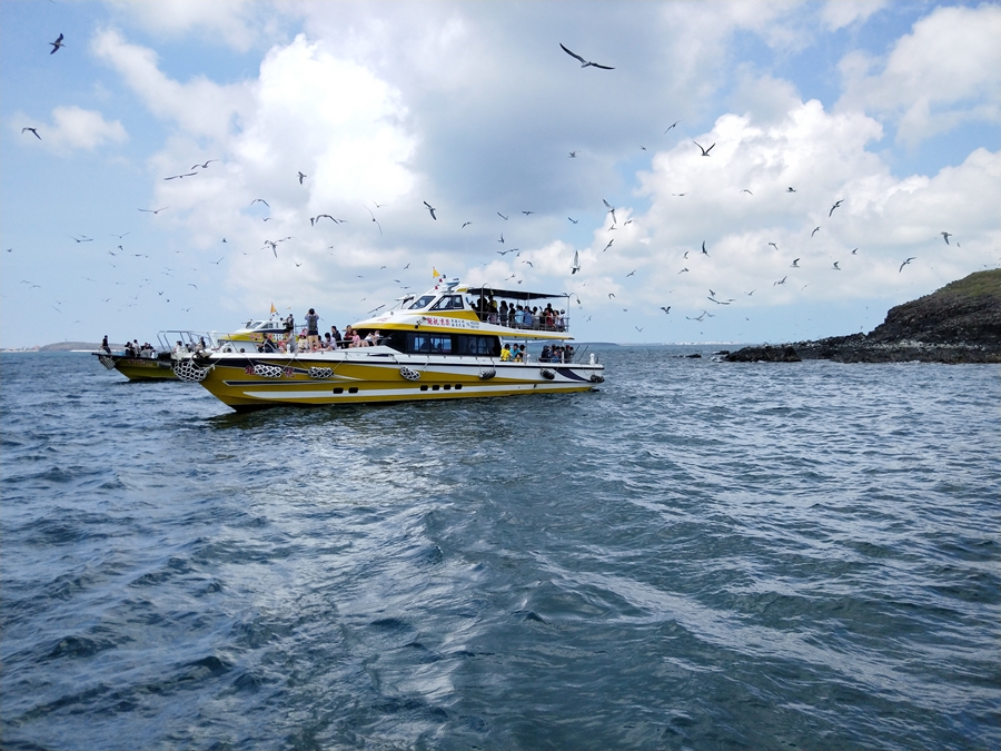 鳥嶼餵食海鷗