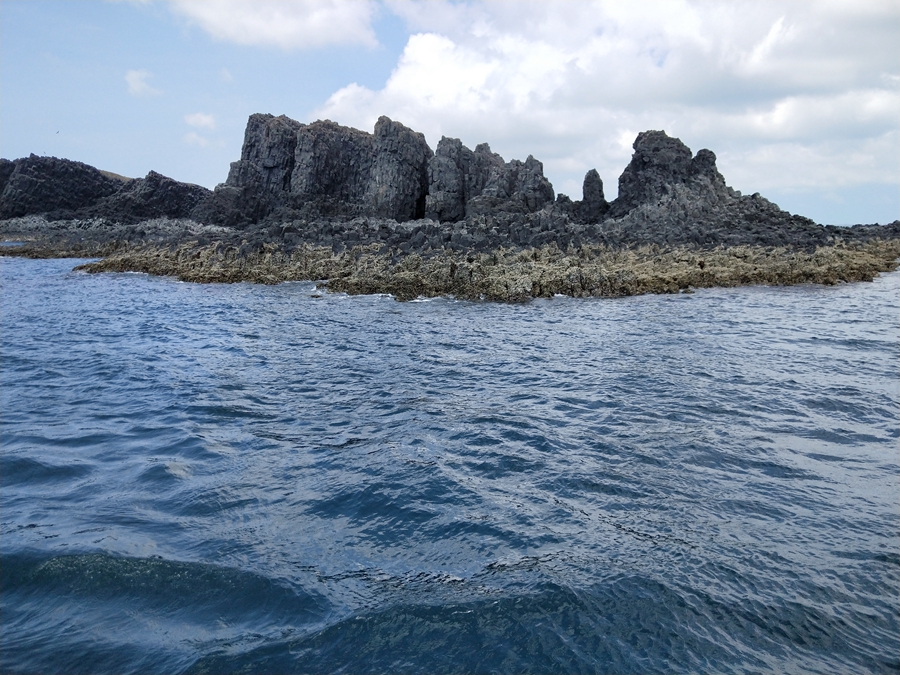 澎湖鳥嶼海鷗群