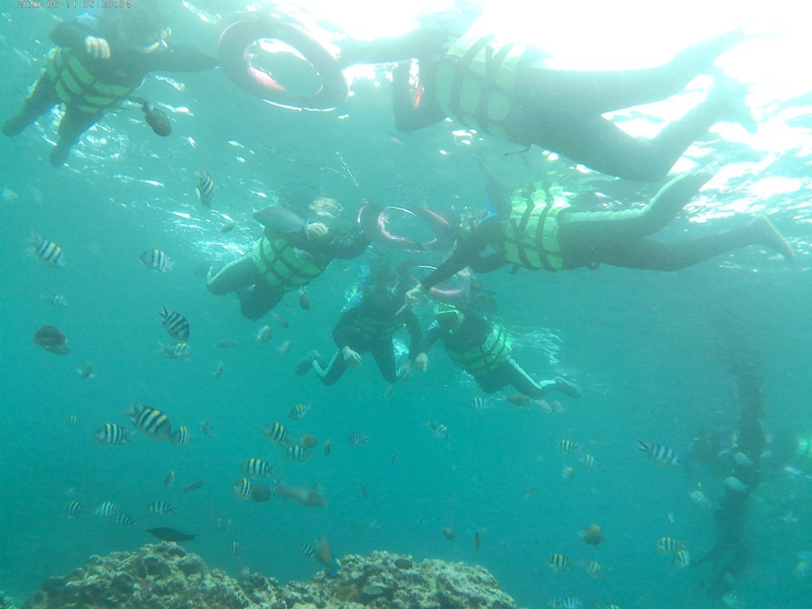 綠島浮潛-盡情觀賞海底生態
