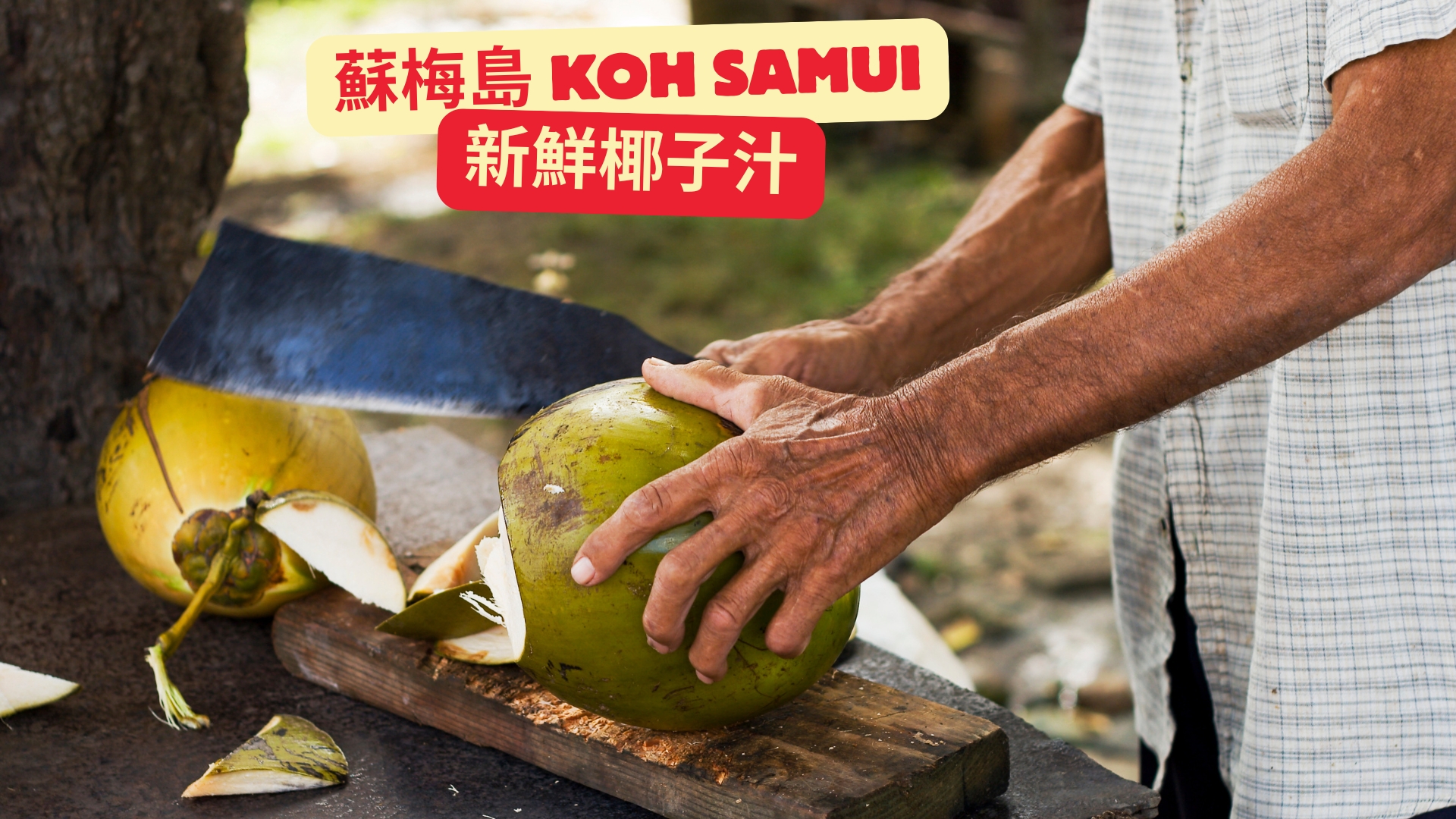 泰國美食十大必嚐經典美食大公開