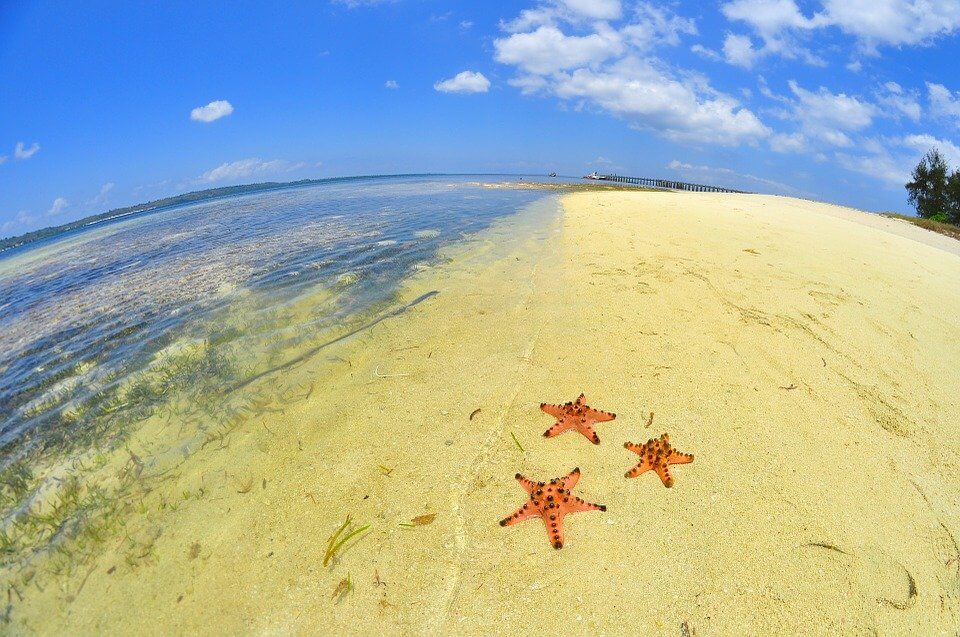 海星沙灘